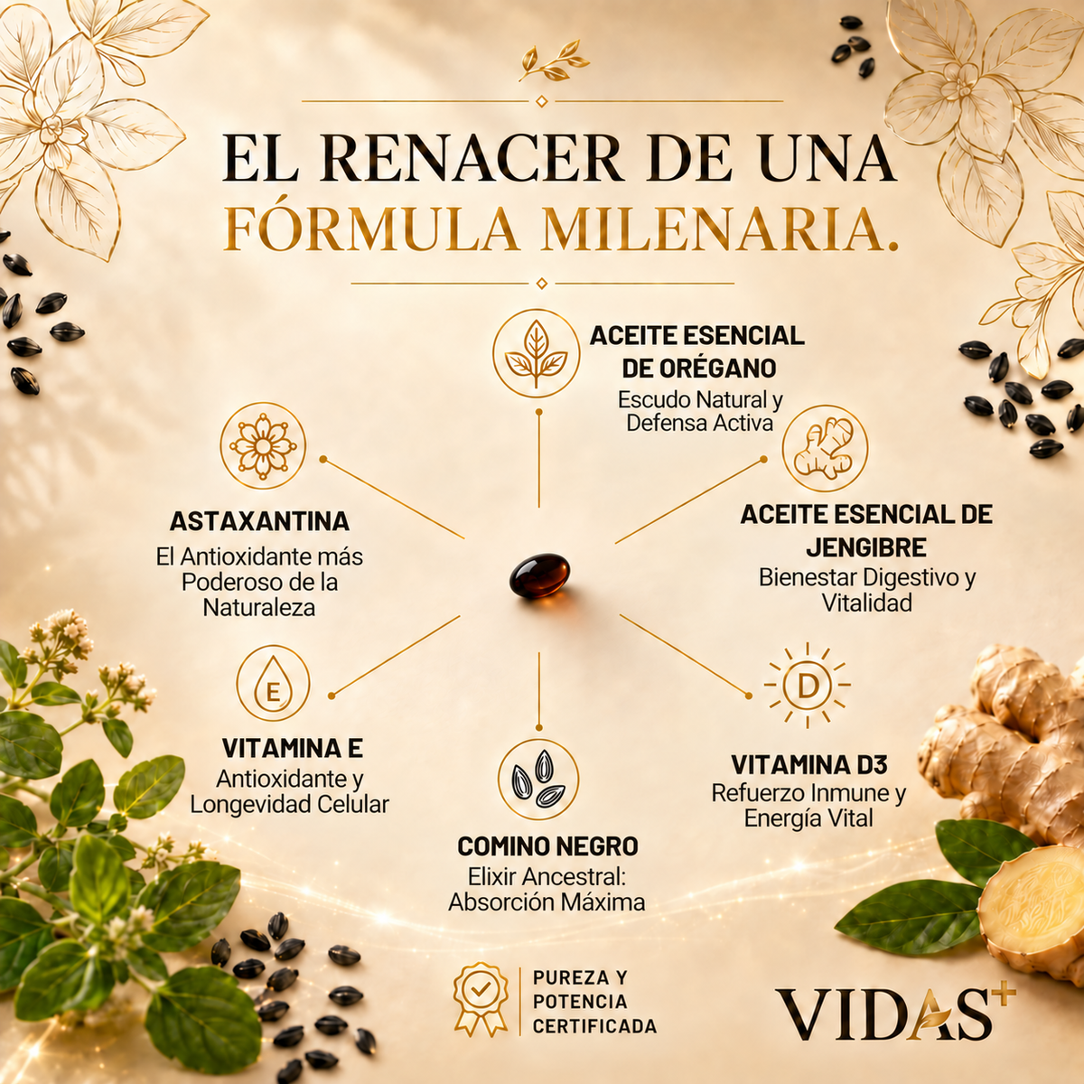Fórmula Avanzada: Aceite de Orégano y Semilla Negra